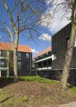 Black stained timber facades