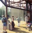 Internal images of Serengeti