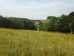 View of the surrounding landscape 