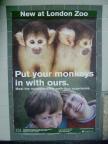 Squirrel Monkey Exhibit 