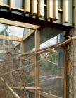 Squirrel Monkey Exhibit 