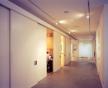 Marc Quinn's studio
