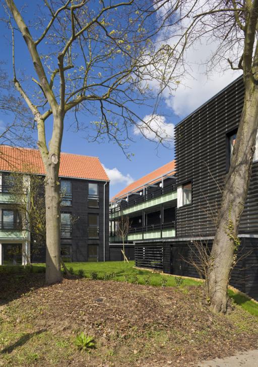 Black stained timber facades