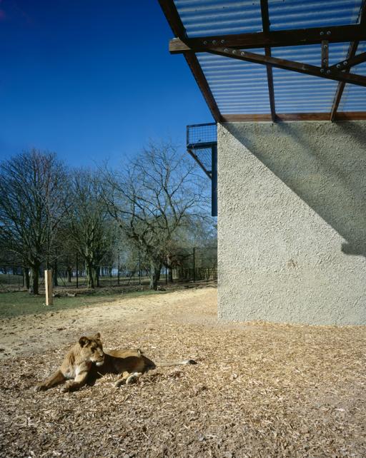 View of the Lions enclosure