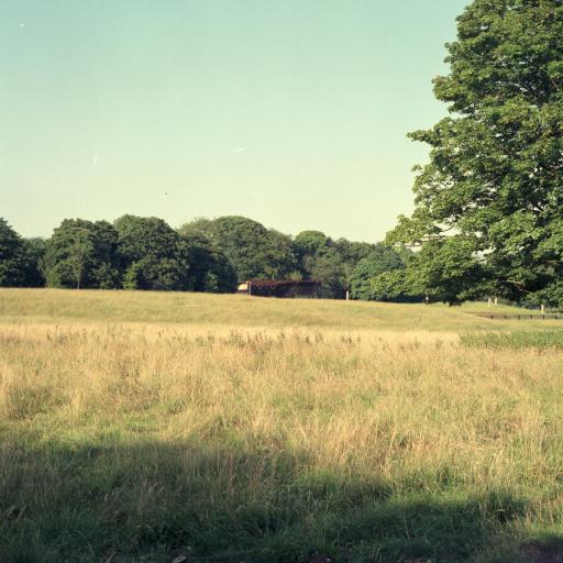 Views of the enclosure