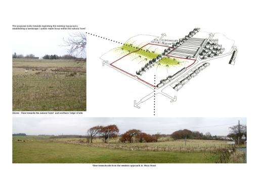 Extending the surrounding landscape onto the site