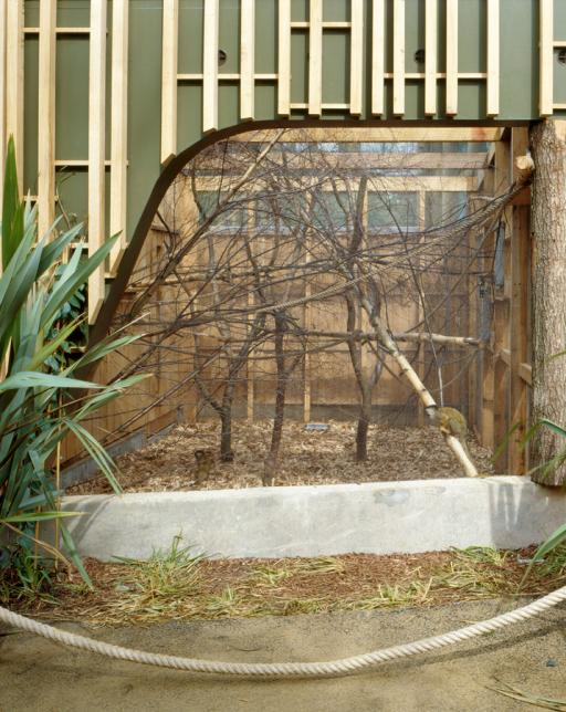 Squirrel Monkey Day Enclosure