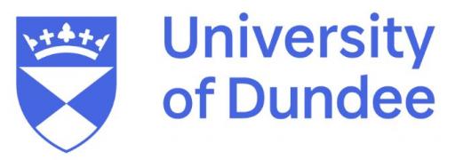 Stephen Proctor elected Honorary Professor at the University of Dundee