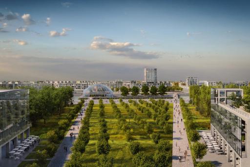 View looking north over orchards and Runway Park